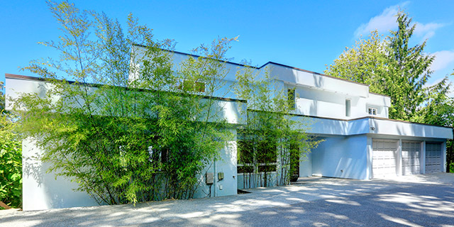 Gallery 1