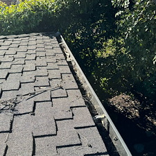 Revive-Shine-Gutter-and-Window-Cleaning-in-Long-Beach-CA 5